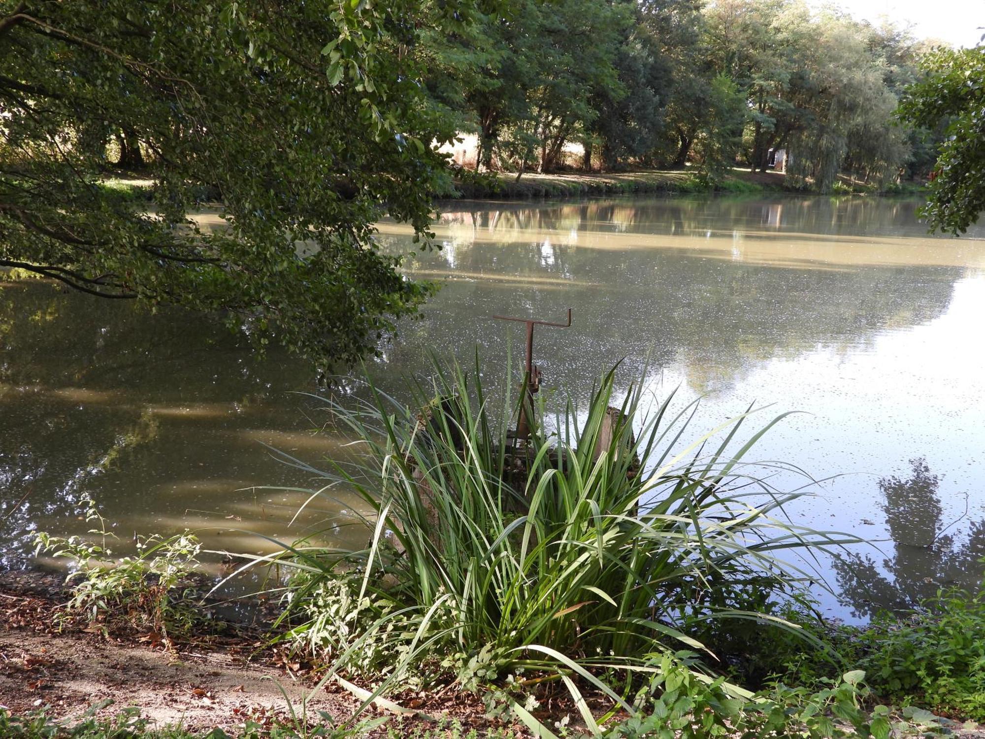 Le Hameau De La Closerie Flere-la-Riviere Zewnętrze zdjęcie