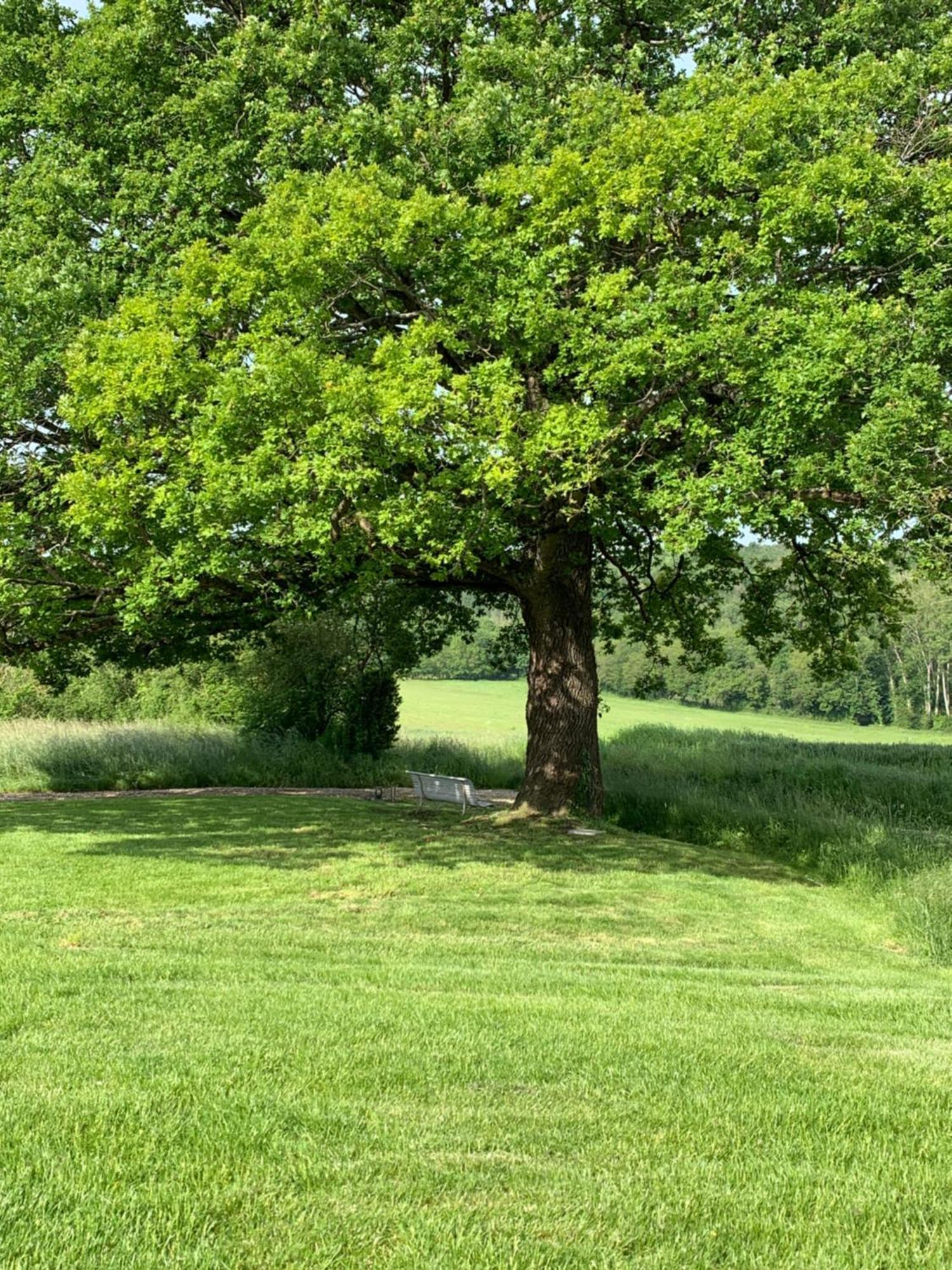 Le Hameau De La Closerie Flere-la-Riviere Pokój zdjęcie